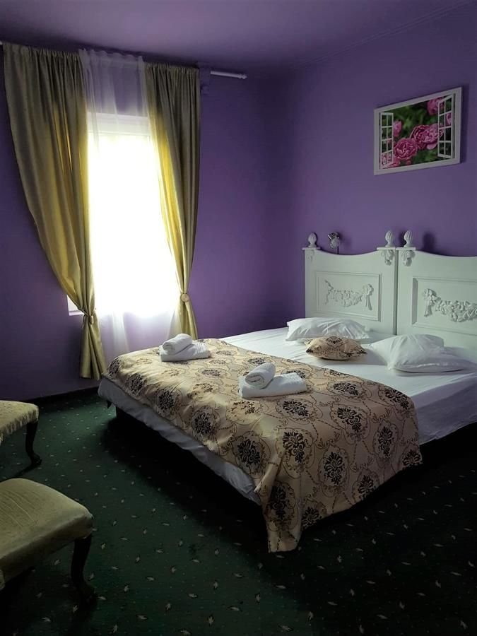 Отель Hotel Darosy Арад-12
